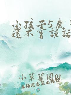 小孩子5岁多了还不会说话