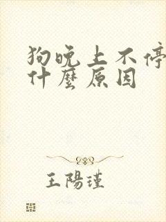 狗晚上不停叫是什么原因