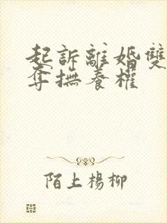 起诉离婚双方争夺抚养权