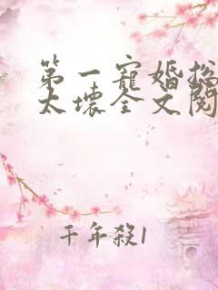 第一宠婚总裁别太坏全文阅读