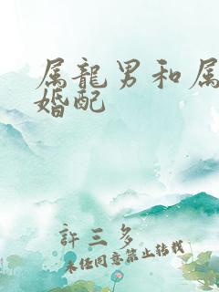 属龙男和属兔女婚配