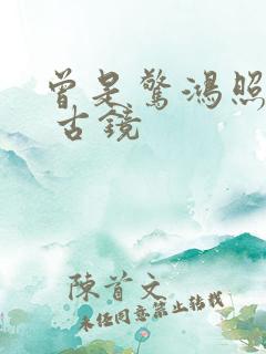 曾是惊鸿照影来 古镜