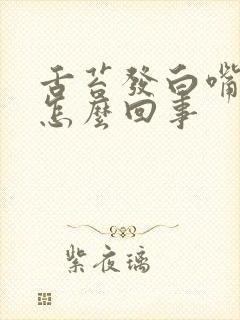 舌苔发白嘴里苦怎么回事