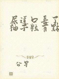 尿道口长了一排柚子粒有点痒