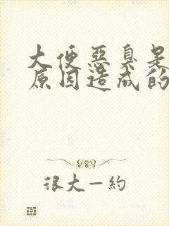 大便恶臭是什么原因造成的