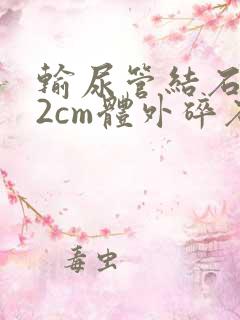 输尿管结石1.2cm体外碎石得多少钱