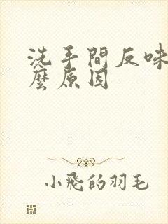 洗手间反味是什么原因