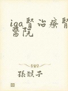 iga肾治疗肾医院