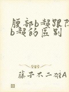 腹部b超跟阴道b超的区别