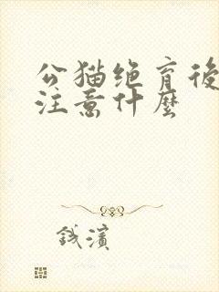 公猫绝育后需要注意什么