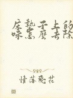 床垫子上的猫尿味怎么去除