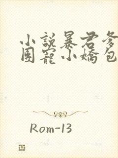 小说暴君爹爹的团宠小娇包最新章节