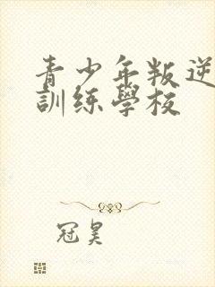 青少年叛逆孩子训练学校