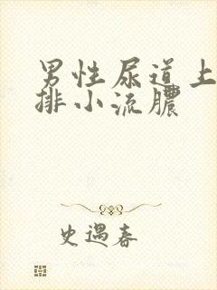 男性尿道上有一排小流脓