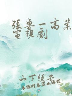 张鲁一高叶演的电视剧