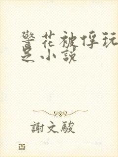 警花被俘玩弄玉足小说