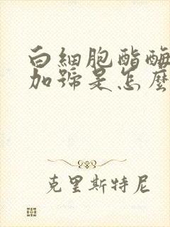 白细胞酯酶两个加号是怎么回事