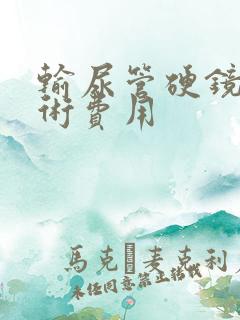 输尿管硬镜碎石术费用