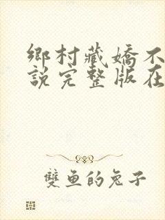 乡村藏娇不良小说完整版在线阅读