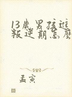 13岁男孩进入叛逆期怎么办