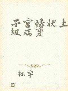 子宫鳞状上皮高级病变