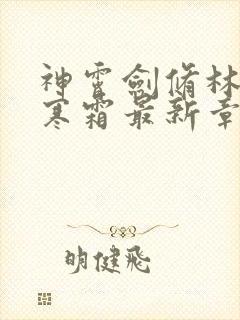 神霄剑修林枫冷寒霜最新章节