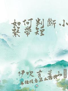 如何判断小孩舌系带短