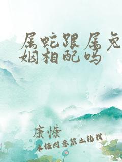 属蛇跟属兔的婚姻相配吗