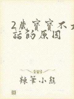 2岁宝宝不太说话的原因