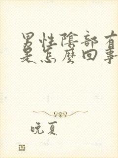 男性阴部有疙瘩是怎么回事