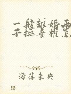 一般离婚两个孩子抚养权怎么判