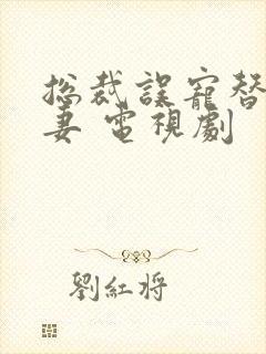 总裁误宠替身甜妻 电视剧