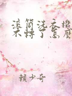 滚筒洗衣机脱水不转了怎么回事