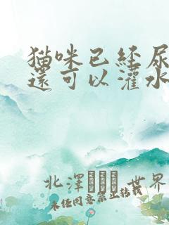 猫咪已经尿闭了还可以灌水吗