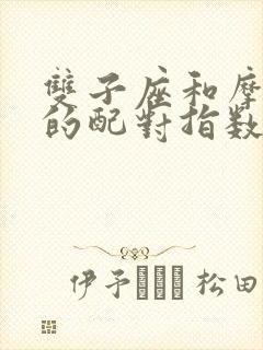 双子座和摩羯座的配对指数