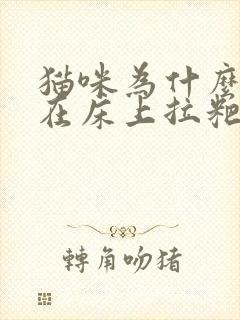 猫咪为什么突然在床上拉粑粑