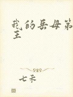 我的岳母第一版主