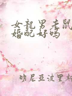 女龙男老鼠属相婚配好吗