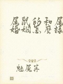 属鼠的和属羊的婚姻怎么样