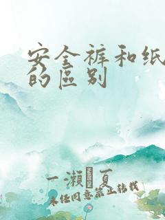 安全裤和纸尿裤的区别