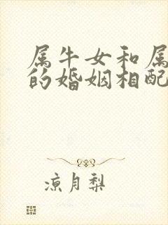 属牛女和属狗男的婚姻相配吗好吗