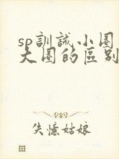 sp训诫小圈和大圈的区别