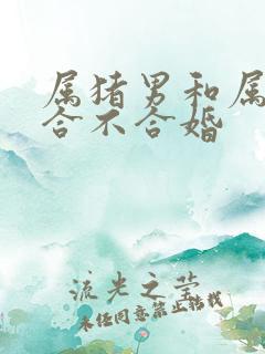 属猪男和属马女合不合婚