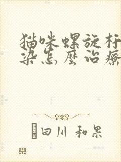 猫咪螺旋杆菌感染怎么治疗