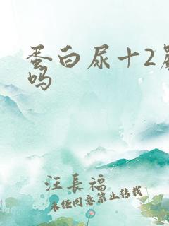 蛋白尿十2严重吗