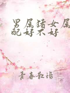 男属猪女属鼠婚配好不好