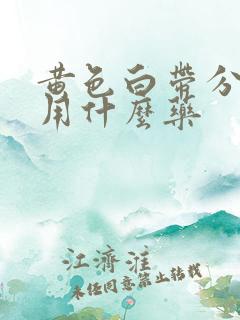 黄色白带分泌物用什么药