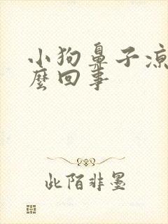 小狗鼻子凉是怎么回事