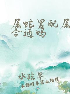 属蛇男配属狗女合适吗