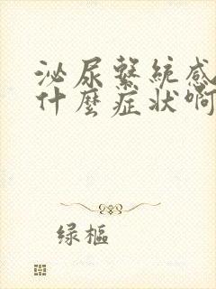 泌尿系统感染是什么症状啊